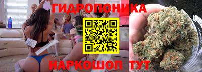 шишки Краснодар