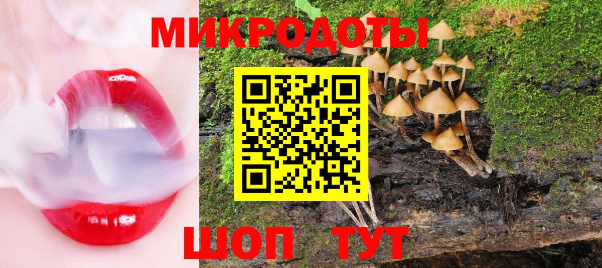 Чапаевск  Псилоцибиновые грибы GOLDEN TEACHER  Вход с VPN  Галлюциногенные грибы ЛСД 