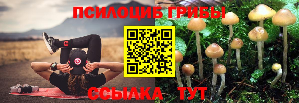 Псилоцибиновые грибы Magic Shrooms Чапаевск